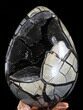 Septarian Dragon Egg Geode - Crystal Filled #38406-1